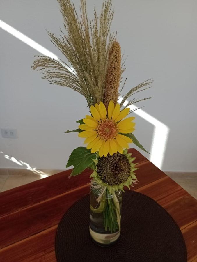 Chales Recanto Das Flores Rn Monte das Gameleiras Exterior photo